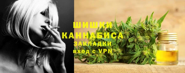 индика Алексеевка